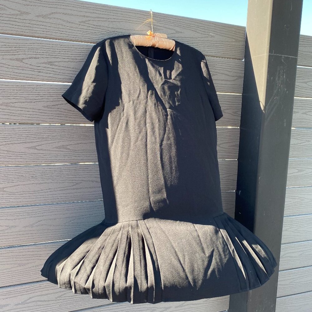 Zara Dress with Pleats